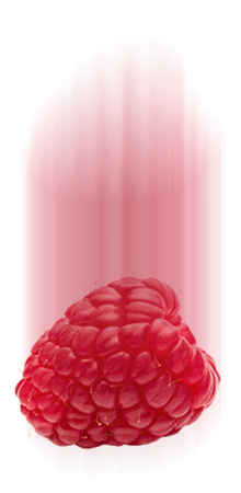 https://maracaspops.com/wp-content/uploads/2017/05/raspberry-1.png